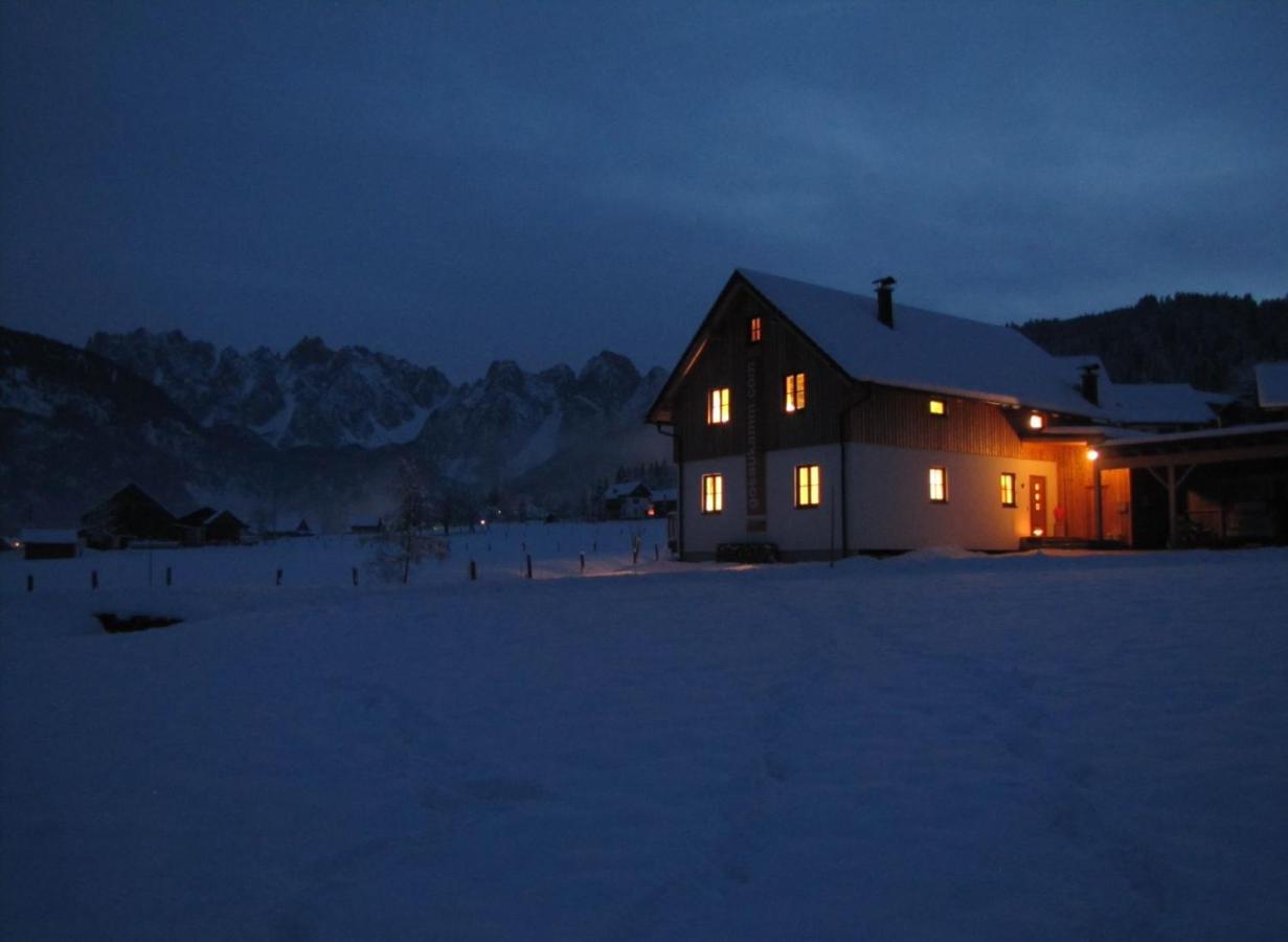 Appartements Gosaukamm.Com Экстерьер фото