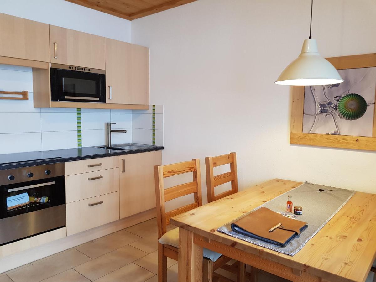 Appartements Gosaukamm.Com Экстерьер фото