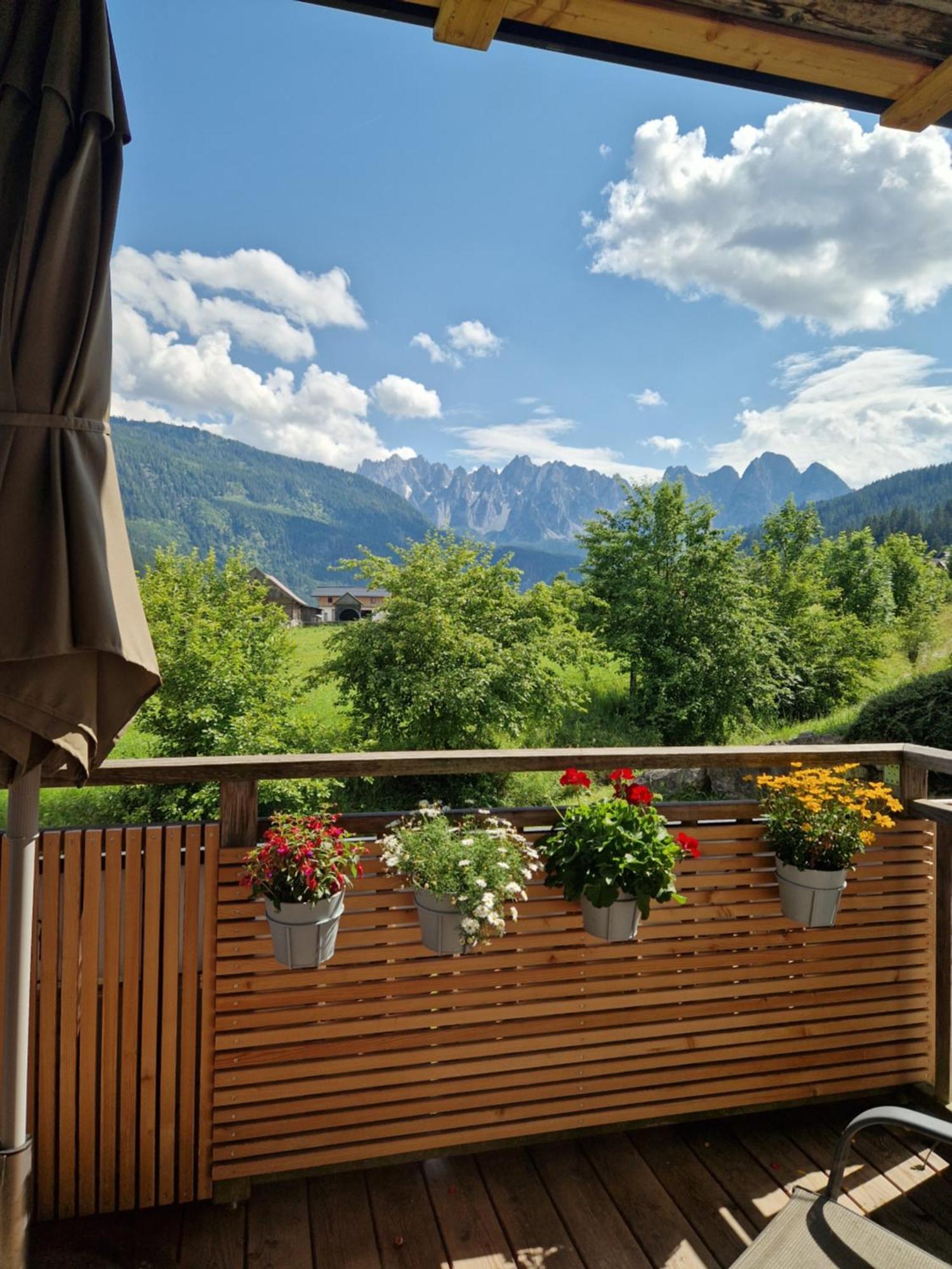 Appartements Gosaukamm.Com Экстерьер фото
