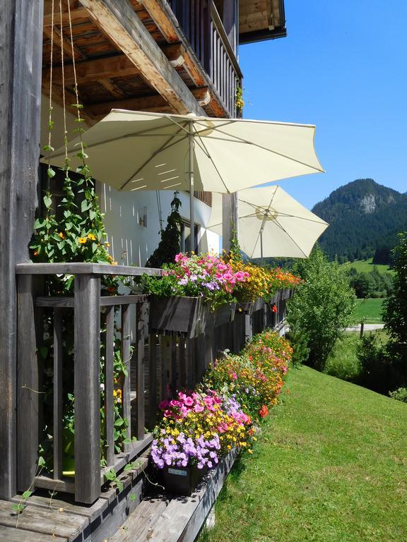 Appartements Gosaukamm.Com Экстерьер фото